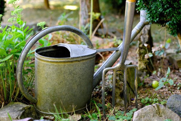 Alte Gießkanne und Grabegabel im Garten